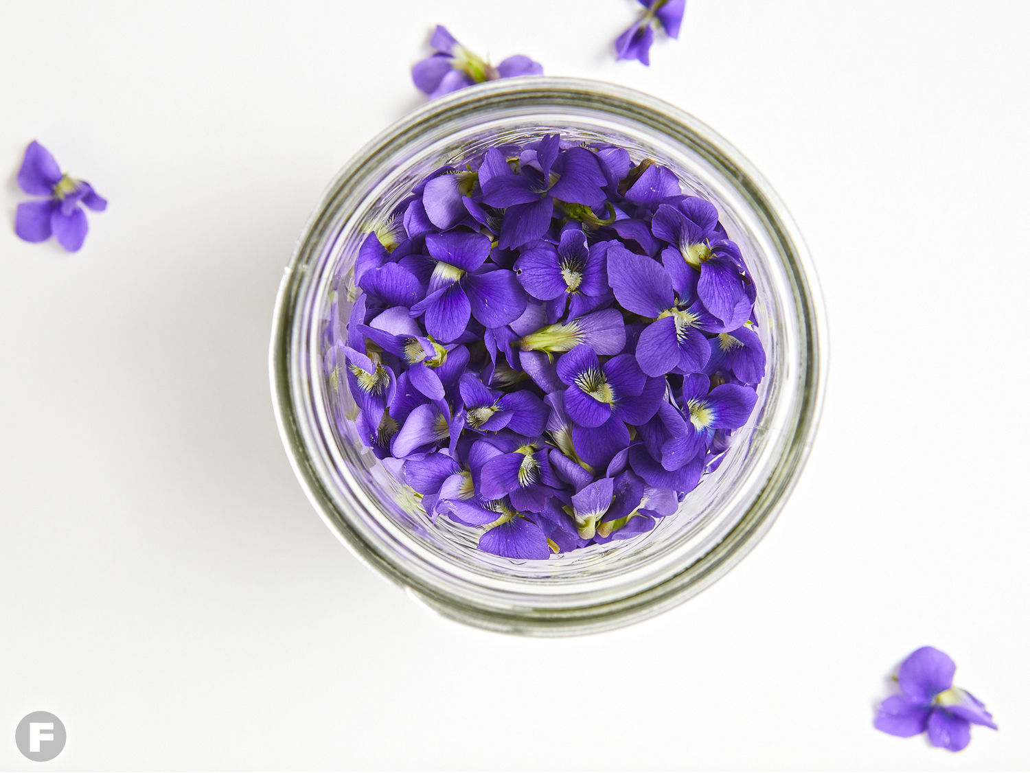 Purple Flowers of Wild Violets for Violet Syrup
